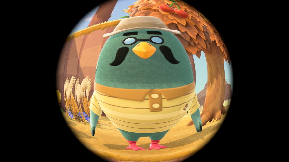 sweetb7777's tweet photo. Spotted
 #AnimalCrossing #ACNH #NintendoSwitch https://t.co/iKtCqC09y8