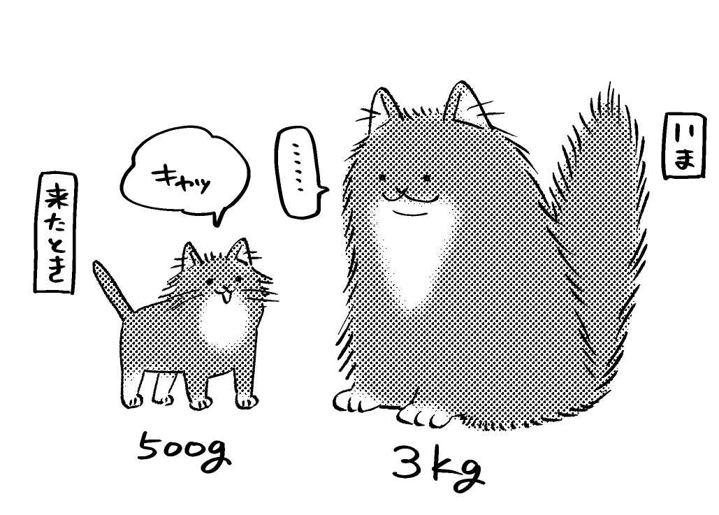 あっという間に大きくなった 