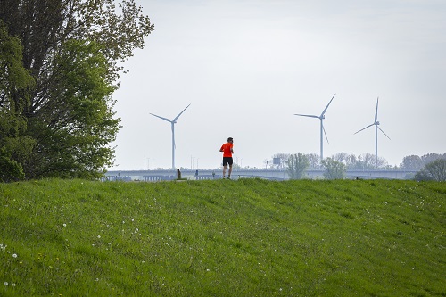 Onderzoek naar de toekomst van de energie infrastructuur in Gelderland voorspelt knelpunten. Er ontstaan knelpunten door hoge pieken en dalen in energie- vraag en aanbod. Hele bericht lezen? ➡️ bit.ly/3136jME #ProvincieGelderland