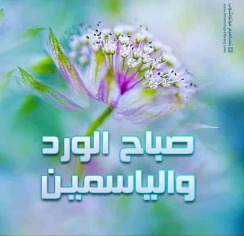 سهام باغفار tweet media
