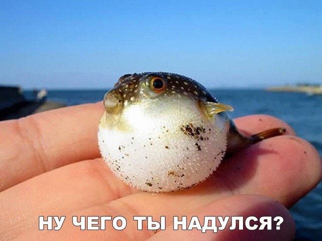 Надулся