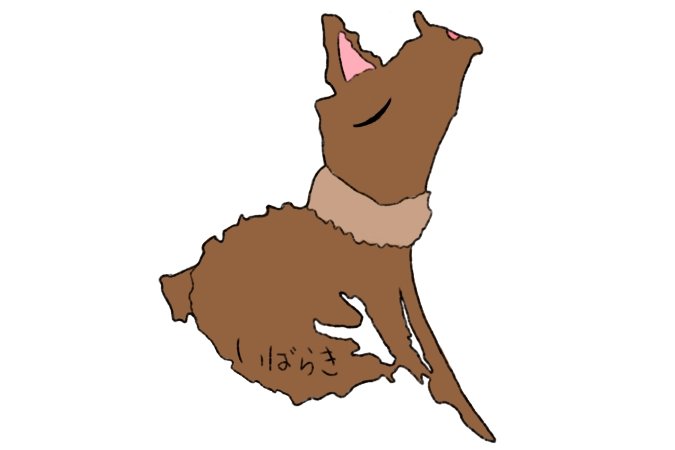 Twitter 上的 Bag Row 地図 茨城県 いばらきは 美しく遠吠えしているようです 地図 キャラクター 茨城県 茨城 イラスト 地図デザイン 犬 いぬ 遠吠え いばらき T Co Ljey12jex9 Twitter