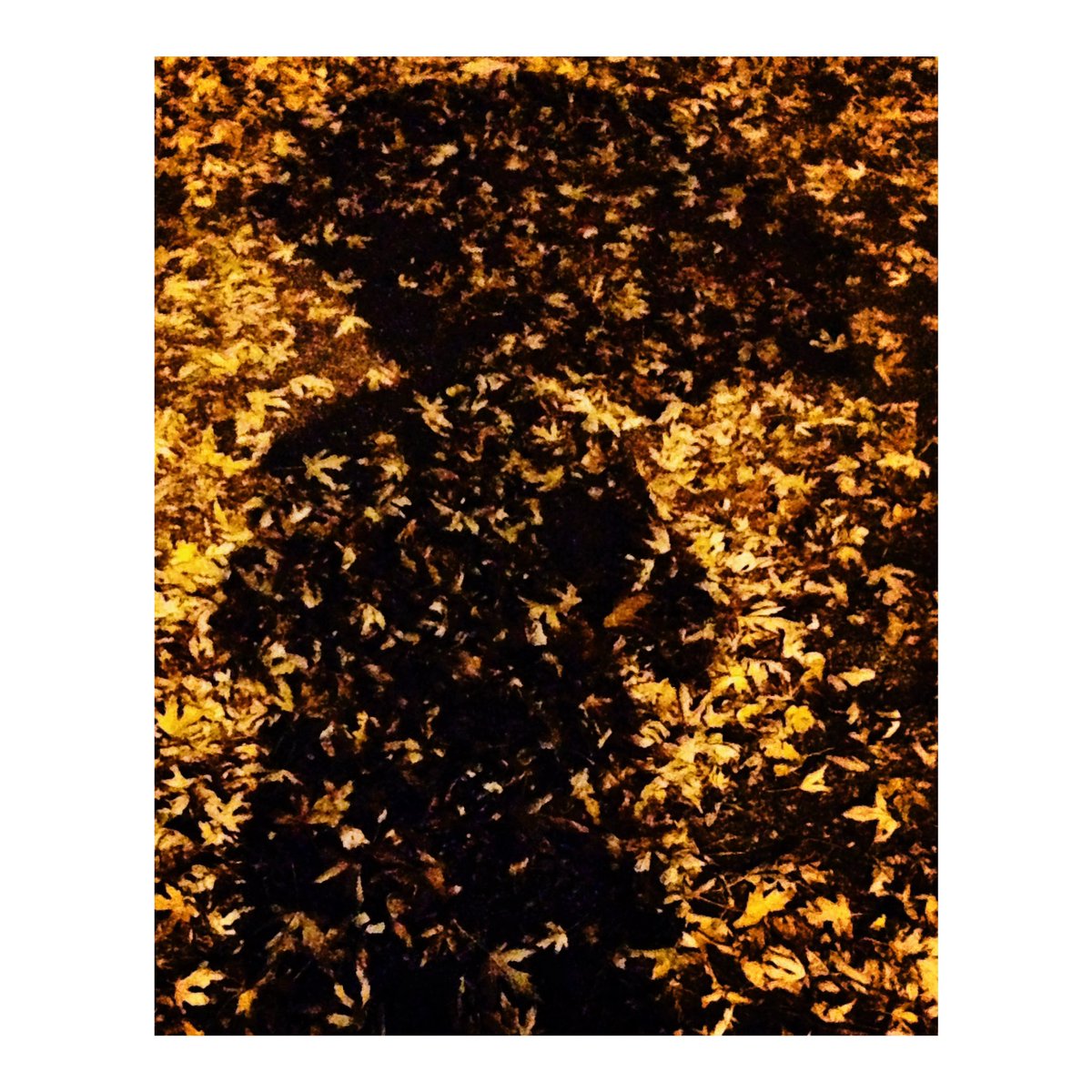 mpietropoli's tweet photo. Radiation.
/
/
/
#rovigo #italy #whatitalyis #streetphotography #photooftheday #archicity #contemporarycities https://t.co/TBumFJcRrP