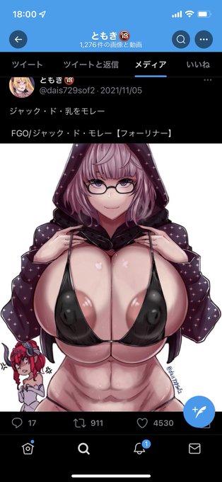 僕の垢は未だに旧サムネ表示なので気付かなかったんですが、新サムネ表示だとこういう風に見えてたんですね…。3枚表示だと一番ちっちゃくて見辛い。
なるべく1枚か4枚で投稿する様にした方が見易いかも。 