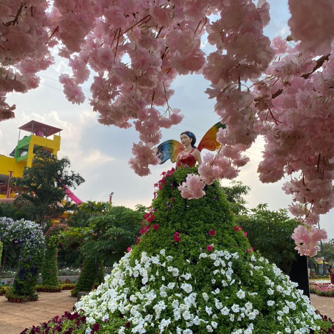 maha_tourism's tweet photo. Looking for some amazing pics for your Instagram? Then visit Nashik Flower Park, which has a variety of flowers, floral photobooths for your selfie, a floral tribute to corona warriors, and a lot to explore for yourself!
So plan your visit soon for a flowery photo selfie! https://t.co/3dNMT76Tj1