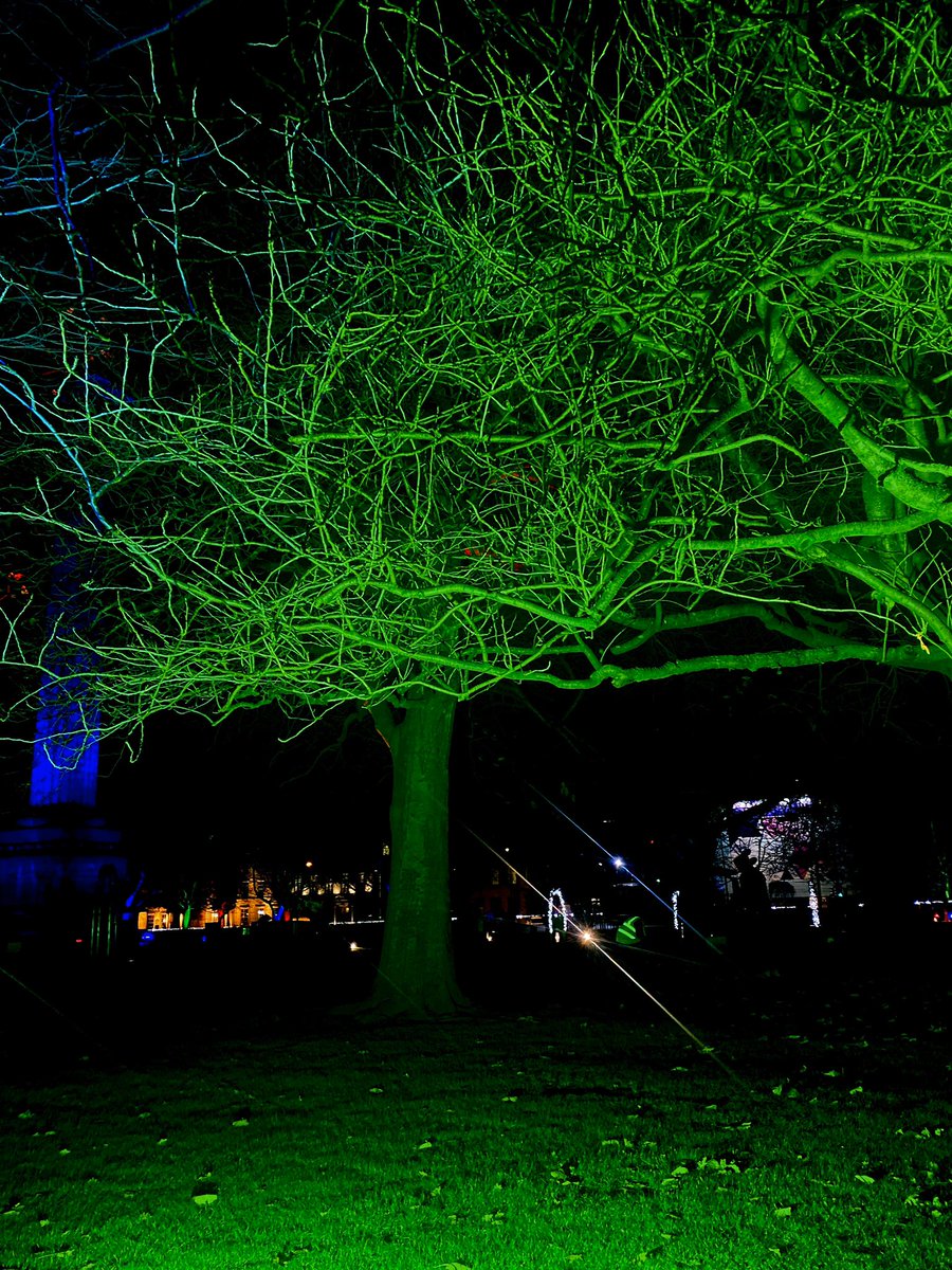 Stephan Pierre Mitchell tweet media