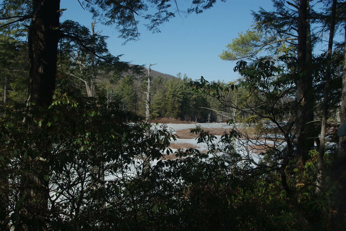 4wildplaces's tweet photo. The 2021 Writing the Land book is out now! Rachelle Parker's poem North Side of the Juniper features Binney Hill Wilderness Preserve. Read her full poem at: https://t.co/reUoD1Bszt #poemoftheday #writingtheland #poetry 
@RachelleMParker
📷Shelby Perry https://t.co/hIXlNtHnIs