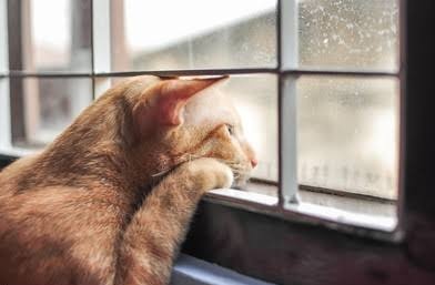Dianchik143's tweet photo. Me waiting for weekend https://t.co/cud4he6BEf