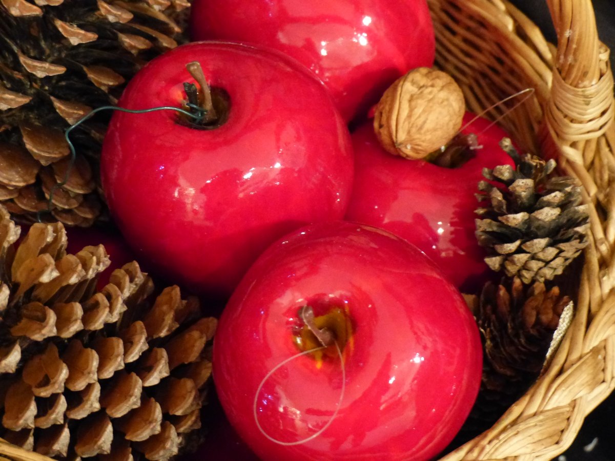 MuseeStAntoine's tweet photo. [Noël au musée]
Ateliers créatifs « De pommes et de pin »
Confectionnez en famille de délicats objets pour faire vivre la magie de Noël.
Samedi 11/12 de 14h à 16h30 - Dimanche 12/12 de 14h à 17h. Salon aux gypseries. Gratuit. entrée libre, places limitées. Pass sanitaire demandé https://t.co/klCV4t93fO