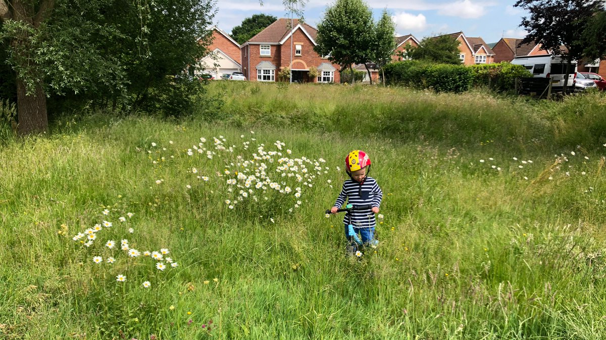 GwentGreenGrid's tweet photo. It’s #WalesClimateWeek 

The Gwent Green Grid is helping the fight against the climate crisis by encouraging change in the way we manage road verges and amenity grasslands across Gwent

#ClimateEmergency #naturebasedsolutions https://t.co/OmGZNPjopt
