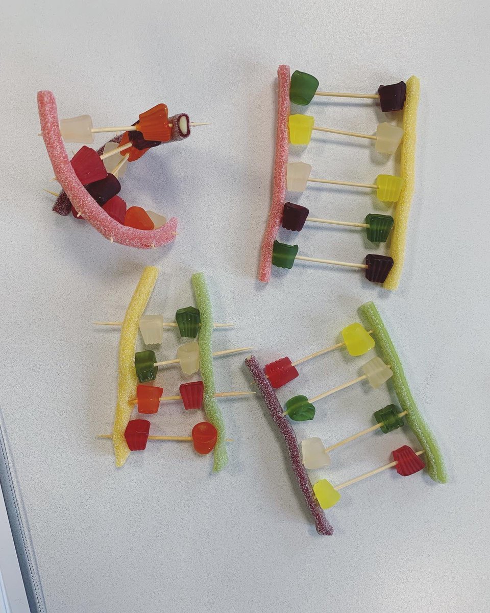 Mallaig High School Science tweet media