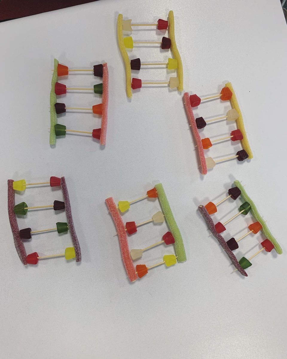 Mallaig High School Science tweet media