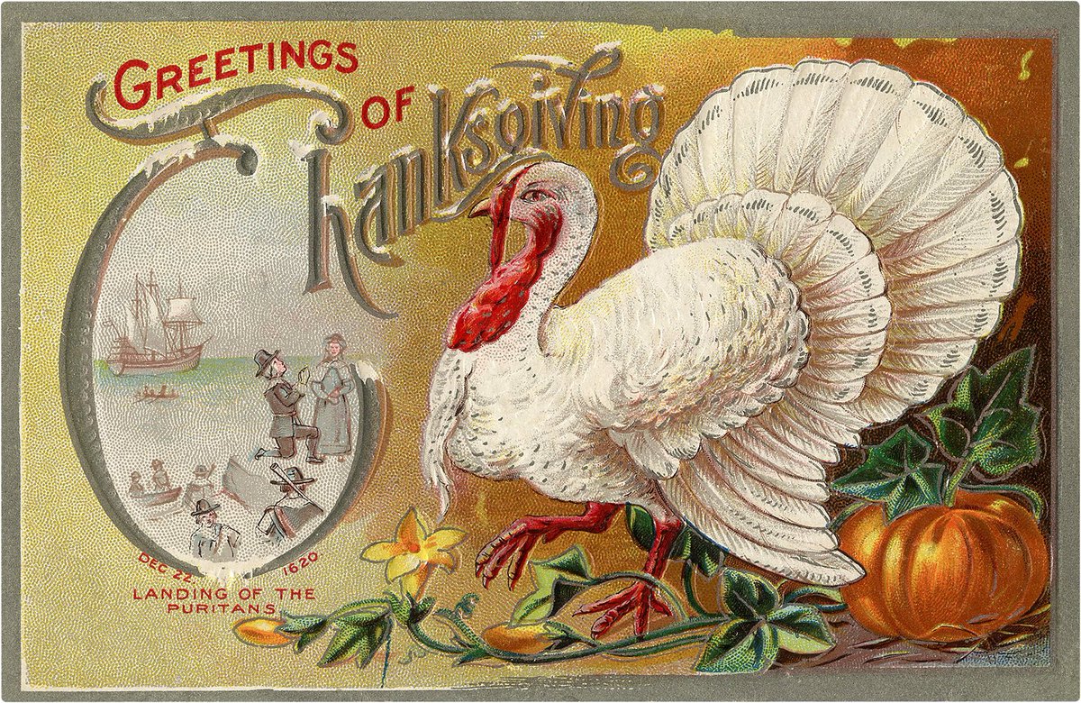 gio_rawley's tweet photo. Happy Thanksgiving to all of my friends and family! I hope you have a wonderful day 🦃

@haleighdengler @misha_dengler @BarnegatHSCheer @fieldhockeybhs @BobbySuydam @DavidHelfrich5 https://t.co/OStBSPePSe