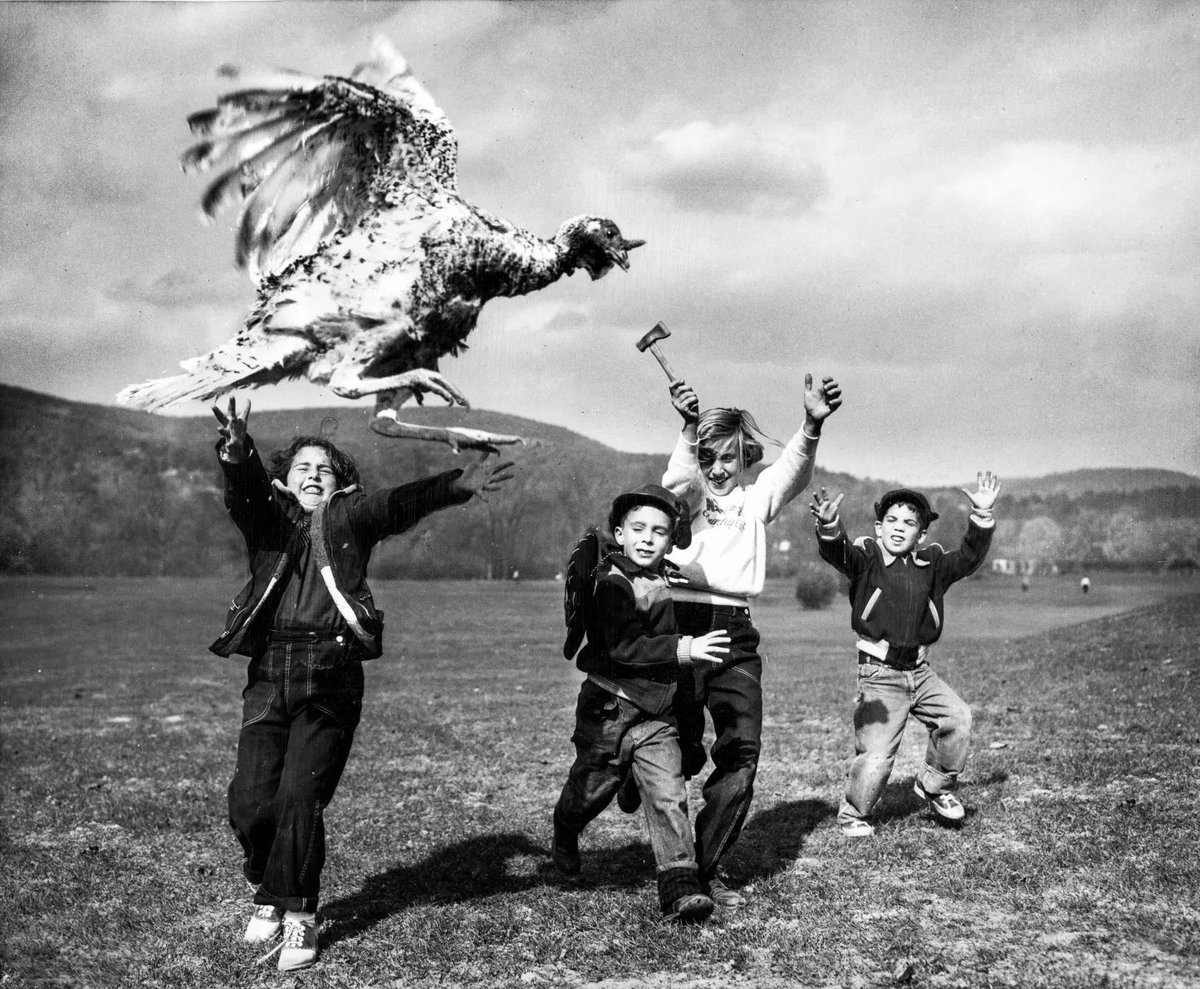 sim_barr's tweet photo. 🦃 Happy Thanksgiving! 🦃
The Great Escape …
#Unknownphotographer
#happythanksgivng #thanksgiving #turkey #turkeychase #thegreatescape #turkeyescape #escapedturkey #photograph #vintagephoto #blackandwhitephotography #vintagephotography #children #childrenrunning #turkeyrun https://t.co/9t4hnmJgFU