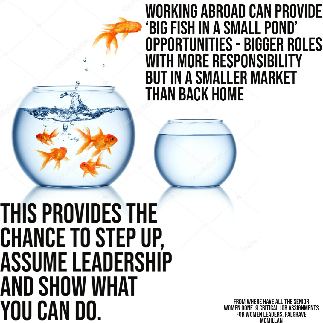 Working abroad can create better opportunities for developing leaders, within bigger roles that give you more responsibility. Show what YOU can do. #LeadershipDevelopment #EmergingLeaders #EarlyCareers