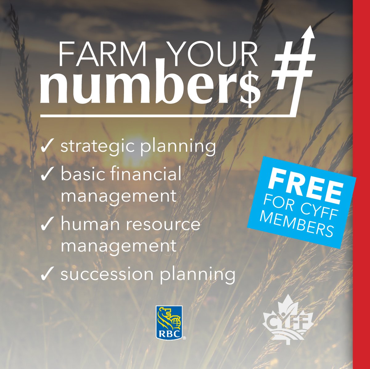 CYFF's tweet photo. If you’re a young farmer looking to build your skills in strategic planning, financial management, HR management and succession planning, you NEED to be in the #FarmYourNumbers program!
FREE for #CYFF members, courtesy of @RBC
https://t.co/ycHZ3LyyIE
#youngfarmers #CdnAg https://t.co/prGWjrei4q