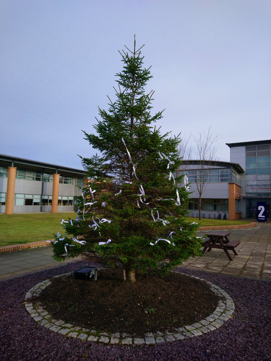 WestLoCollege's tweet photo. Today marks the start of 16 Days of Activism Against Gender-Based Violence
This morning students & staff joined to tie white ribbons to the college Christmas tree in The Square as a symbolic gesture to eradicating violence against all genders
#LightUpScotland #WhatWillYouDo? https://t.co/naDu9Kb3CA