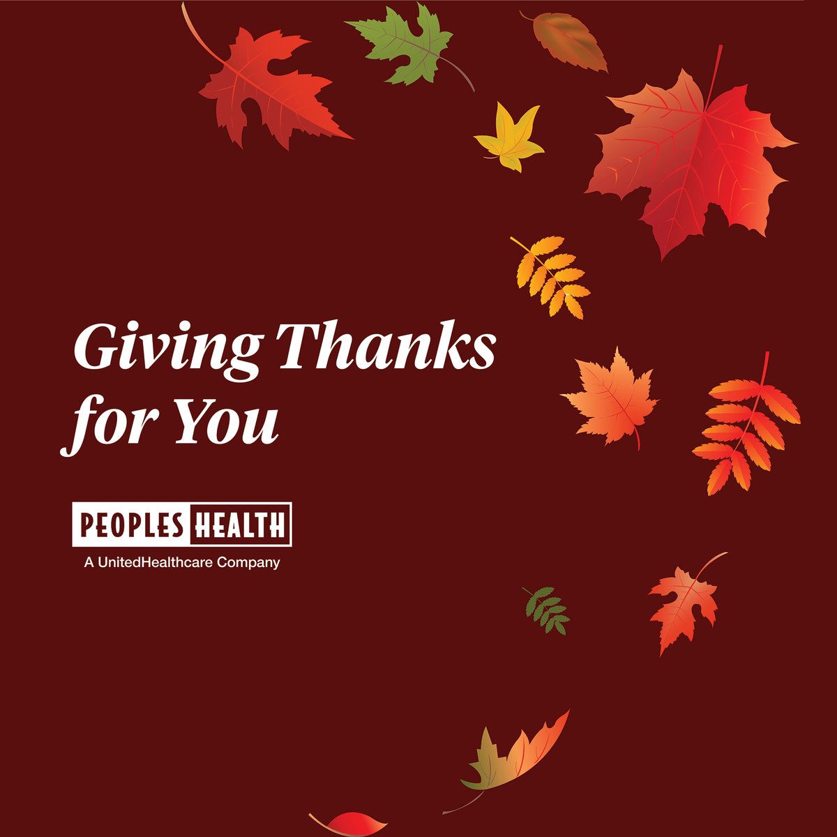 Thank you, members, for trusting in us to be your health plan. We are grateful you have chosen Peoples Health to help you achieve the best health possible. We've been honored to serve you and look forward to serving you in 2022.

We wish you a happy and healthy holiday season!