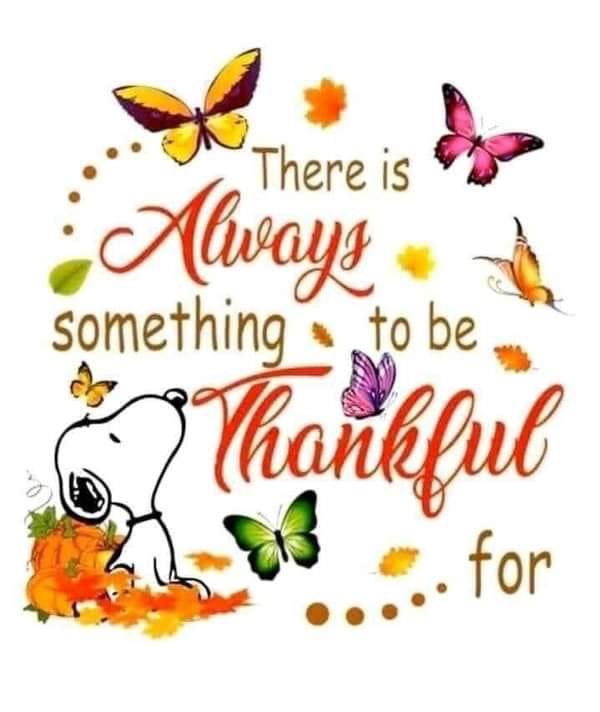 CheerPC's tweet photo. Happy Thanksgiving from our cheer family to yours 💛💙💛💙 https://t.co/BBrZlR7aIE