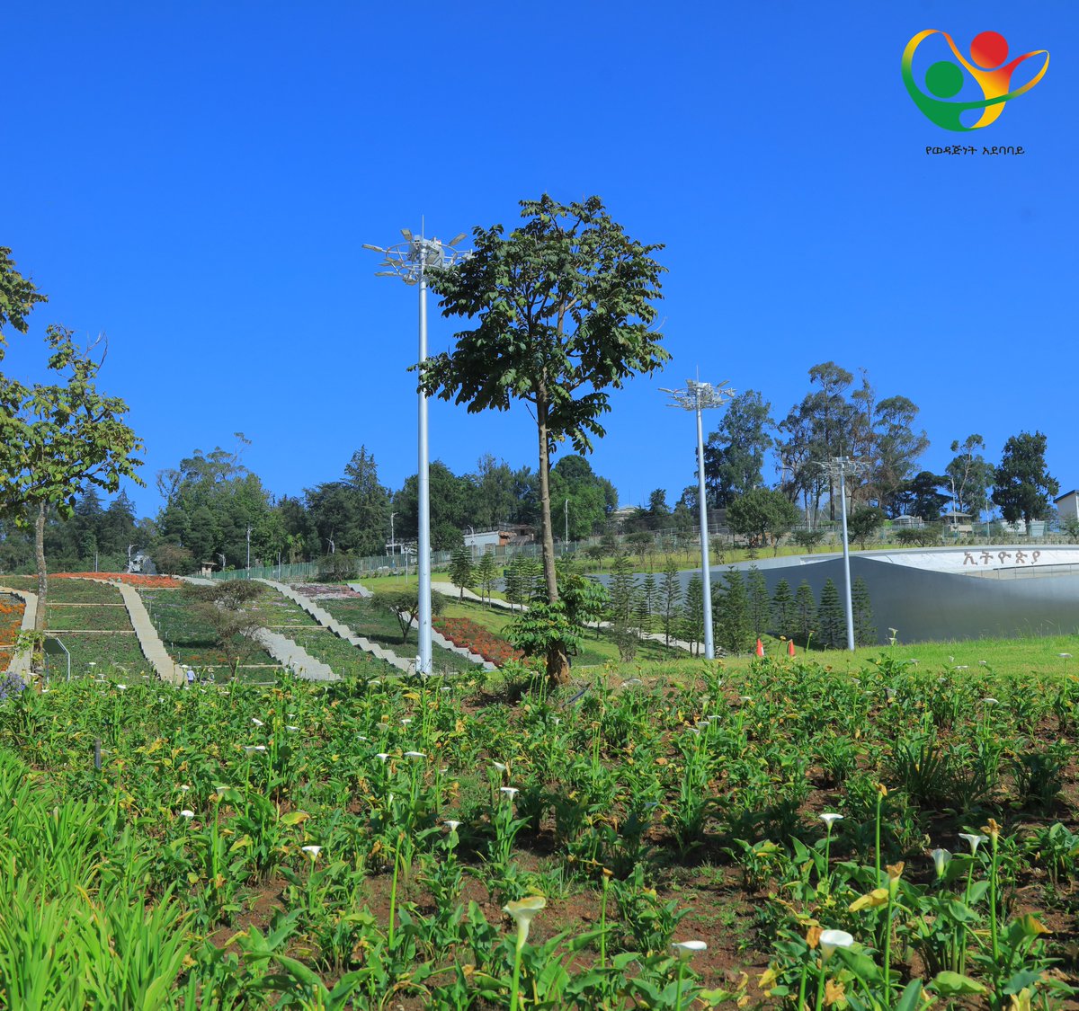 ShegerPark's tweet photo. Green vibes only!

Come and spend a relaxing time surrounded by the verdant landscape of Sheger Park Friendship Square. Door is open everyday from 6AM to 6PM.

#shegerpark #shegerparkfriendshipsquare #friendshipsquare #addisababa  #green #greenvibes https://t.co/trYjzOWG3X