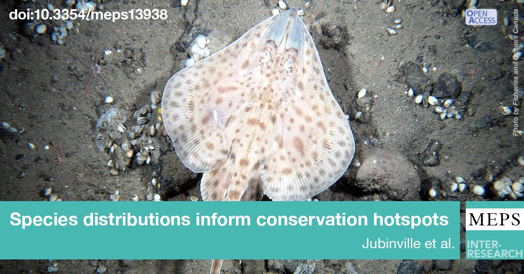 Jubinville et al. show that co-occurrence between vulnerable skates and commercially valuable groundfish, modelled from fishery-independent survey data, can successfully predict the spatiotemporal patterns of bycatch in observed catch. 
Read full article: bit.ly/meps_679_1