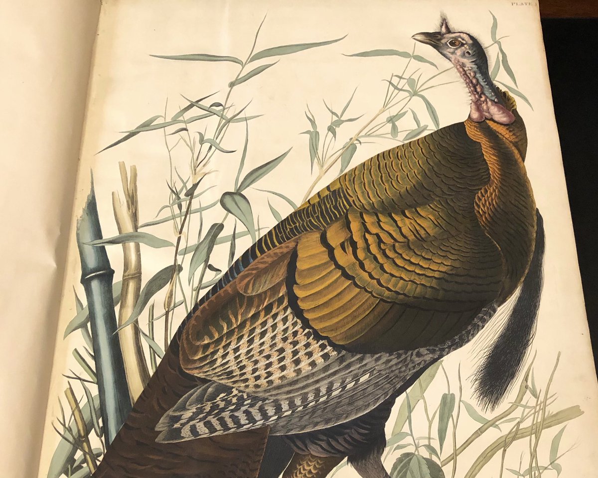 bostonathenaeum tweet picture