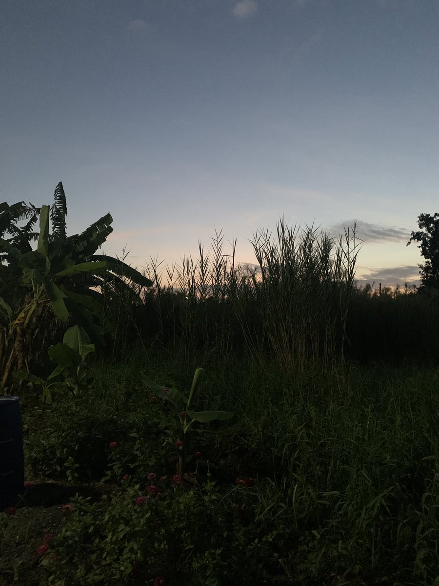 diary_ling's tweet photo. #sky https://t.co/zz4pLRVUr3