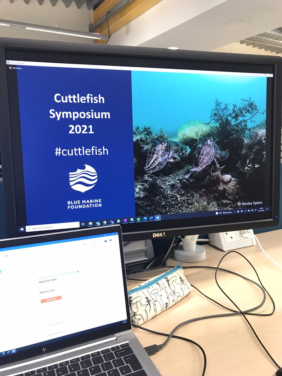 BethanFollis's tweet photo. Excited to be attending @Bluemarinef Cuttlefish Symposium this afternoon! #cuttlefish https://t.co/ZbLXKkzZiQ