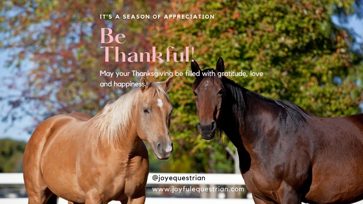 joyequestrian's tweet photo. Wishing the horse community a Happy Thanksgiving! https://t.co/hDpikMhWVh