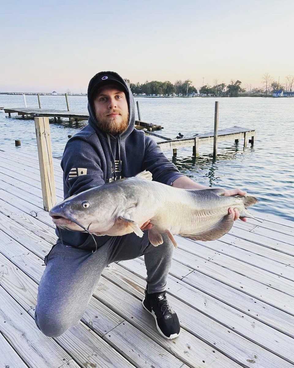 FishAnglerApp's tweet photo. Check out some of our latest 🌟Staff Picked🌟 catches on the App!
Get out there and fish! 🎣
#gofishing #catches #mahimahi #trout #carp #bassfishing #saltwater #freshwaterfishing #boat #kayakfishing #angler #fishangler #catchandrelease https://t.co/Eu5zjlCCME