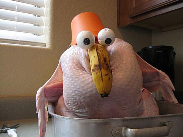 SexyUncleDave's tweet photo. "Fuck you and the turkey you rode in on." Happy Thanksgiving everyone! https://t.co/2jXN4CsT5w