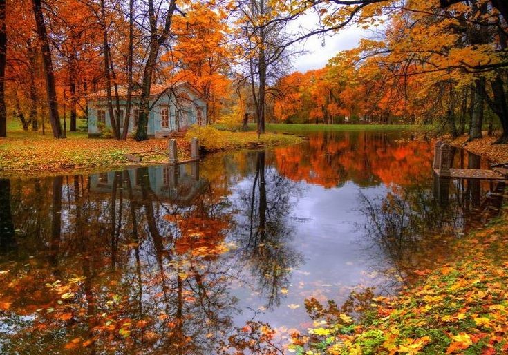 Красивые осенние картинки. Сергей Есенин закружилась листва Золотая. Осенний пейзаж. Красивая осень. Природа осень.