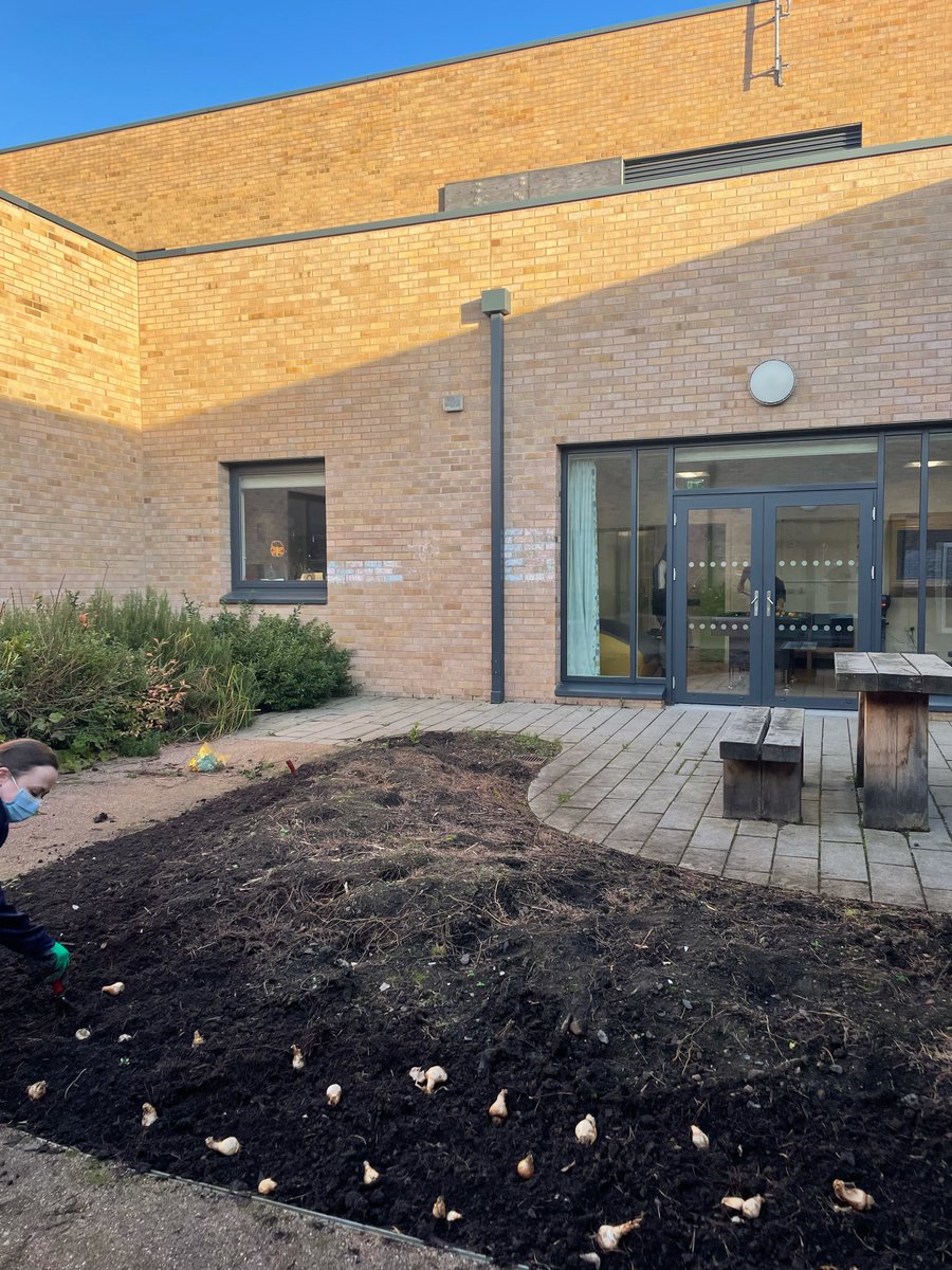 AdultReh's tweet photo. Check back in Spring to see the progress! #mentalhealth #IPCU #OT #gardening #meaningfulactivity #groupwork #inclusive @NHS_Lothian @CraigStenhouse1 @TraceyMcKigen @REHPatients @CheesemanJane @EdinOlderMH @OTAdultREH https://t.co/rJRvh5I6Op