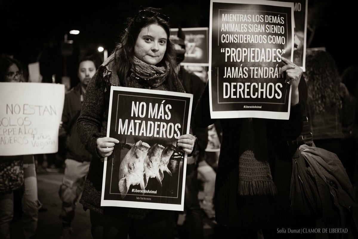 ClamorDLibertad's tweet photo. Ironía, gente ‘anticapitalista’ burlándose del rechazo y oposición a subsidios que el gobierno otorga a opresores de otros animales. 

Los animales son considerados propiedades con quienes comercializan y se enriquecen otros ¿esa injusticia no aplica en su ideología?

#especismo https://t.co/vl2YRkdC7S