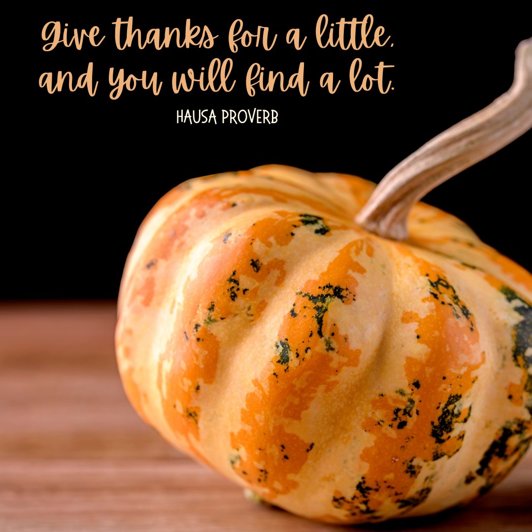 BroadviewScreen's tweet image. Here's to a very happy Thanksgiving!