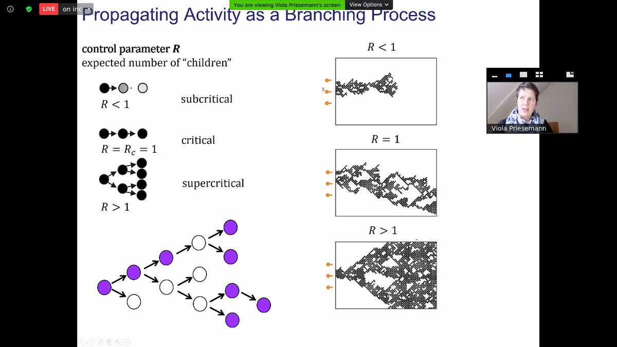 Happening now! Covid-19 round table <a href="/ViolaPriesemann/">Viola Priesemann</a>  <a href="/TiagoMaths/">Tiago Pereira</a> <a href="/wlcota/">Wesley Cota @wcota.me</a> <a href="/robertoandrade/">Sagaz Digital</a> and <a href="/marfcg/">Marcelo F C Gomes</a> as mediator.

#enfe21 #science #epidemicspreading #COVID19