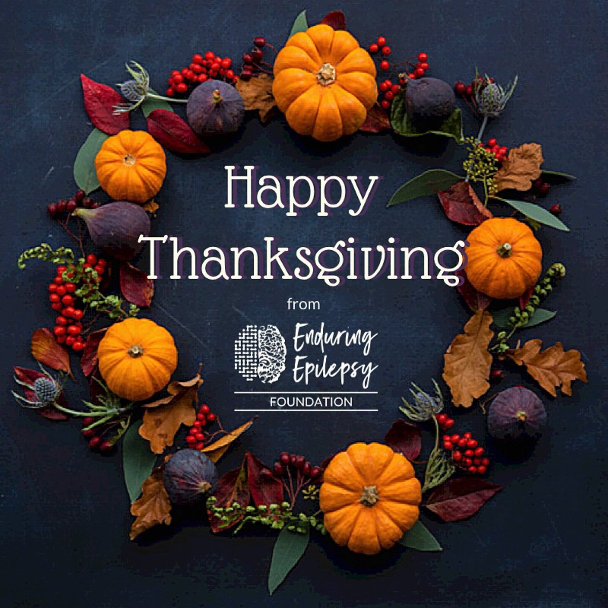 EndureEpilepsy's tweet photo. #HappyThanksgiving from the Enduring Epilepsy Foundation 🌽 Hope you are enjoying the day with #friends, #family, #goodfood... and in #goodhealth 💜 

#GiveThanks #BeThankful #Grateful #TurkeyDay https://t.co/V3IkKkabUq