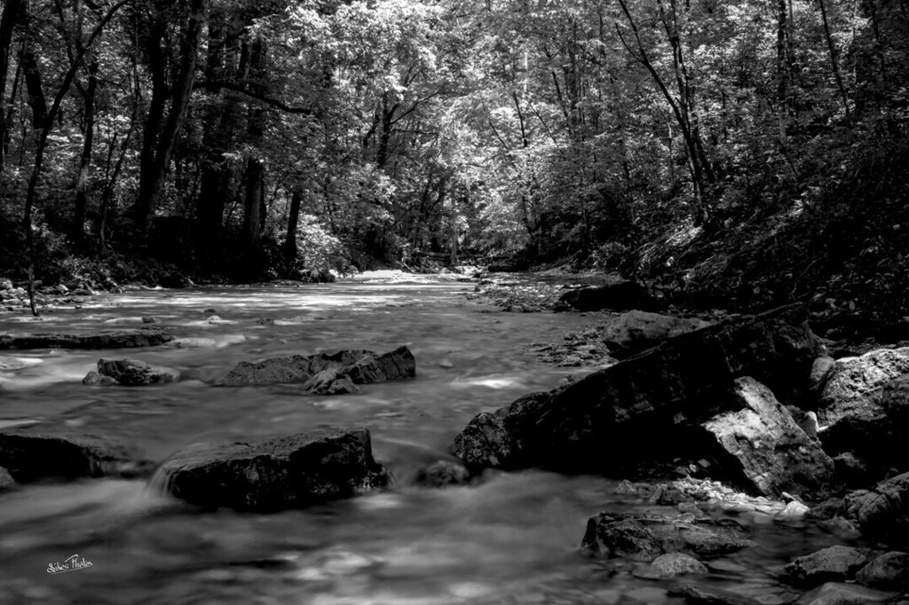 PhotosSikes's tweet photo. Looking Up Stream To See Beauty Flow Downstream. https://t.co/EWZffAN73U https://t.co/c8nnXN9ODt