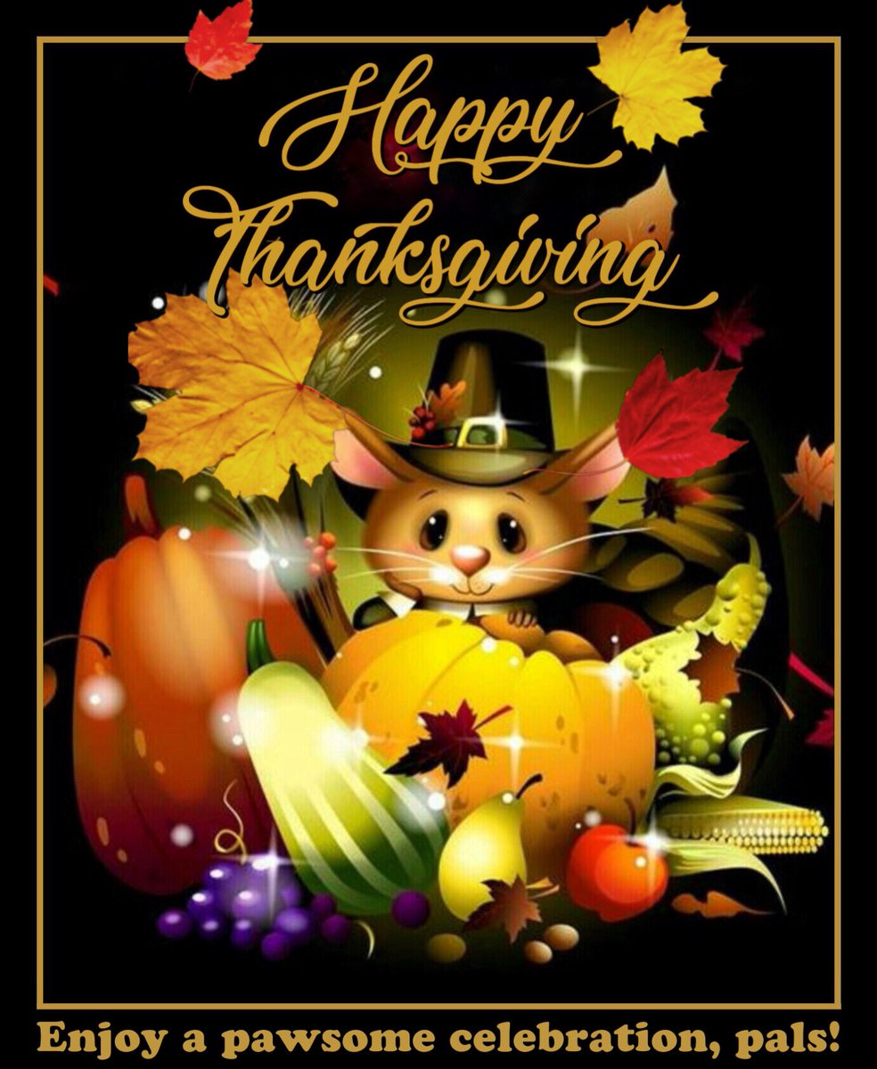 Miss Muddles 🐶🎀💕💖 #ZSHQ General tweet media