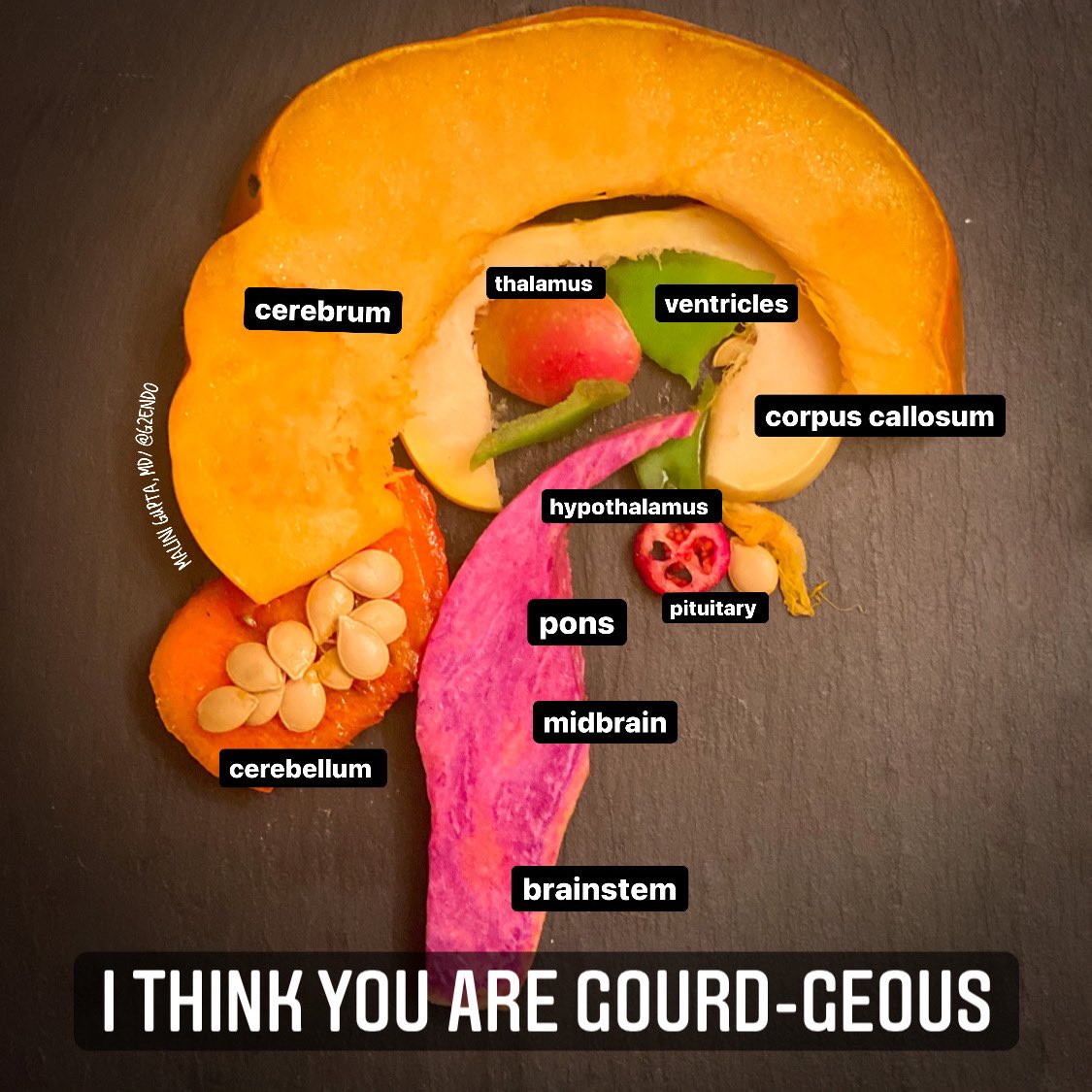 MaliniGuptaMD's tweet photo. Happy Thanksgiving!  I made this #foodart from different gourds and fall produce.  #ThanksgivingDay #MedTwitter https://t.co/JYbsXDkwoM