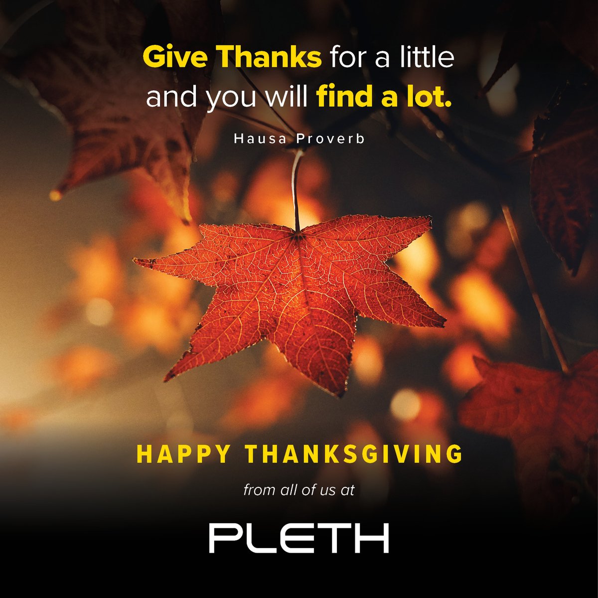 Pleth, LLC tweet media