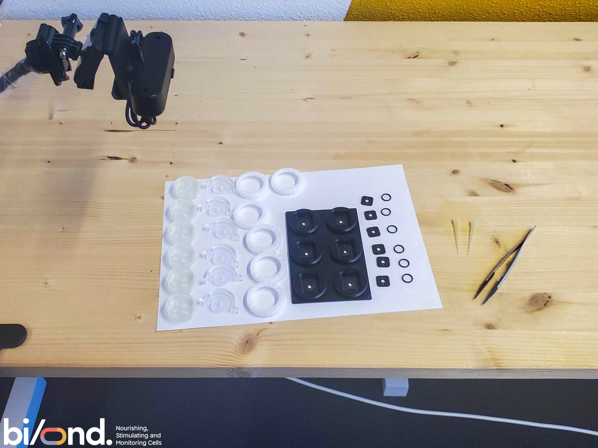 GOBIOND's tweet photo. In line with Bi/ond's collaboration with The Queen Mary University of London @QMUL, @amrothmann is instructing Davide Carta on how to use the Bi/ond's kit.
Curious to see how we train our users? Stay tuned for more! 🥳 https://t.co/P0BqOvtxo1