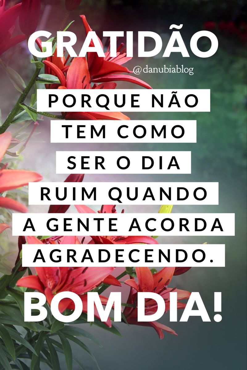 Bom dia!!!!🥳🥳🥳🥳🙏🙏🙏❤❤