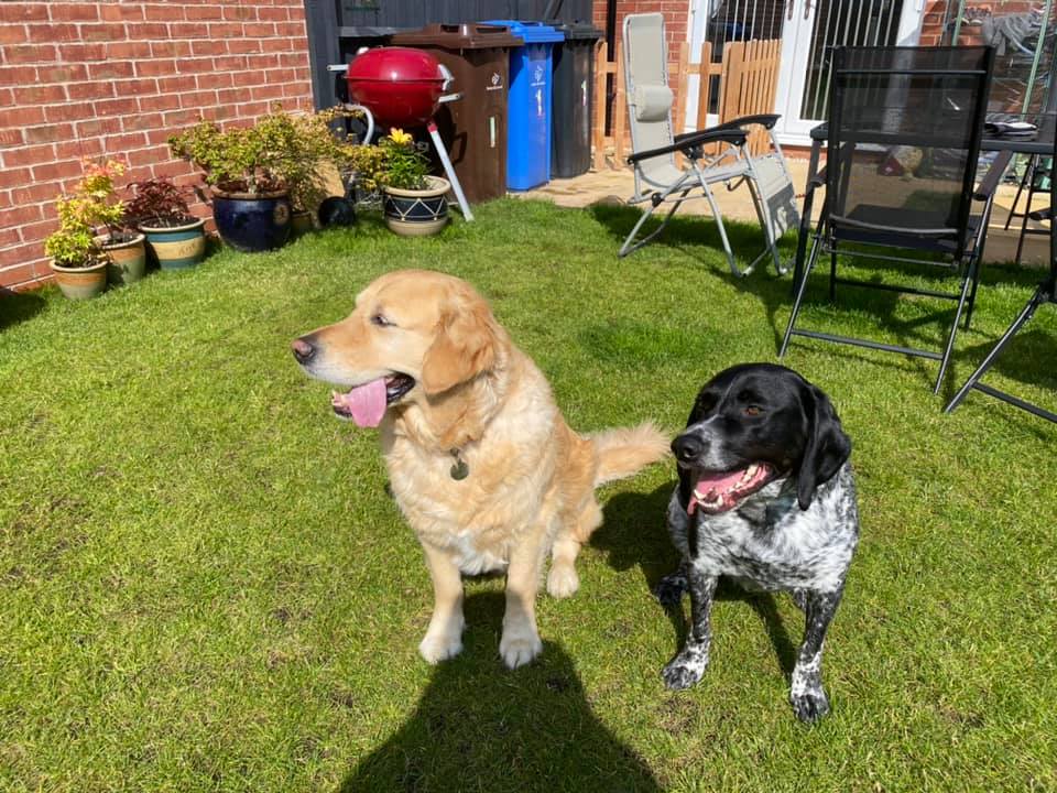 Our pet carers love and understand animals above all else and with our rigorous standards and background checks in place, you’ll always feel completely at ease that your pet is in the best possible hands.  

Feel free to drop us a message on here if you have any questions at all!