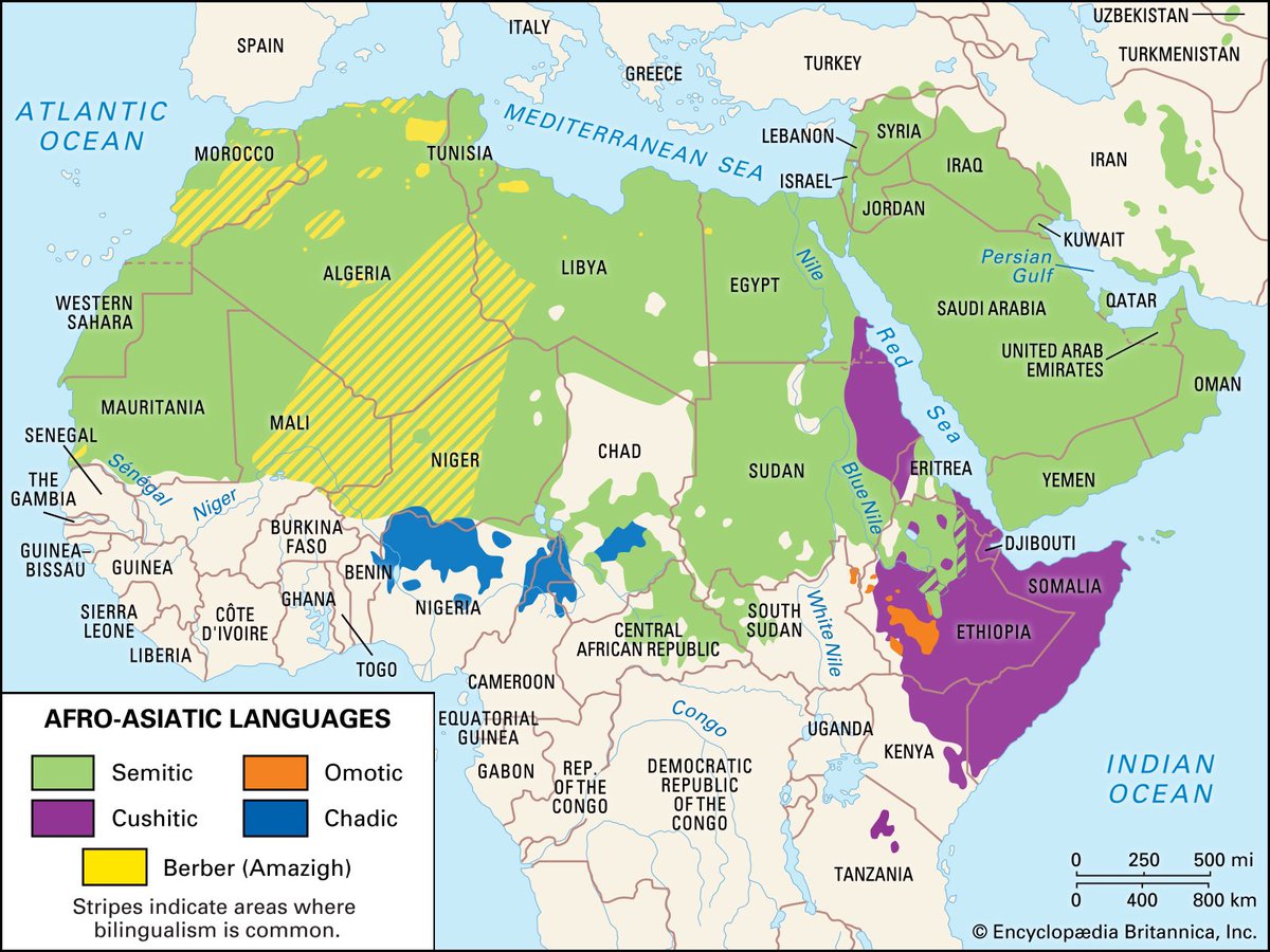 MohammedAlRahbi's tweet photo. All semitic languages have the same origin in Africa, if you deny Arabic is an African language you must also deny Amharic, Tigrinya (Eritrea & Ethiopia), Gurage (Ethiopia), & Tigre (Eritrea and Sudan).
Your statement reveals that you are ill-informed.
#SemiticLanguages #Africa https://t.co/wh0LTzmhIr