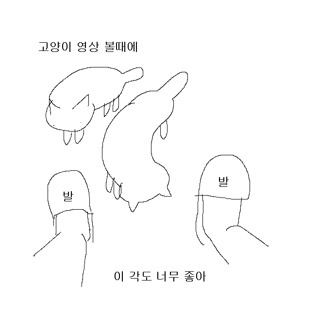 고양이 영상 좋아 