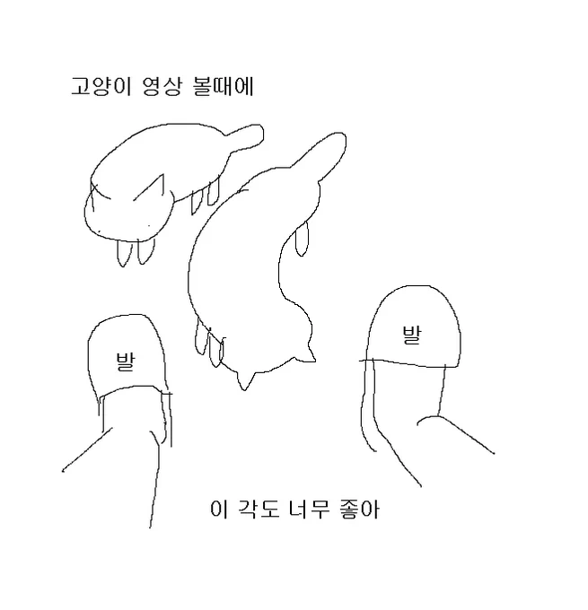 고양이 영상 좋아 