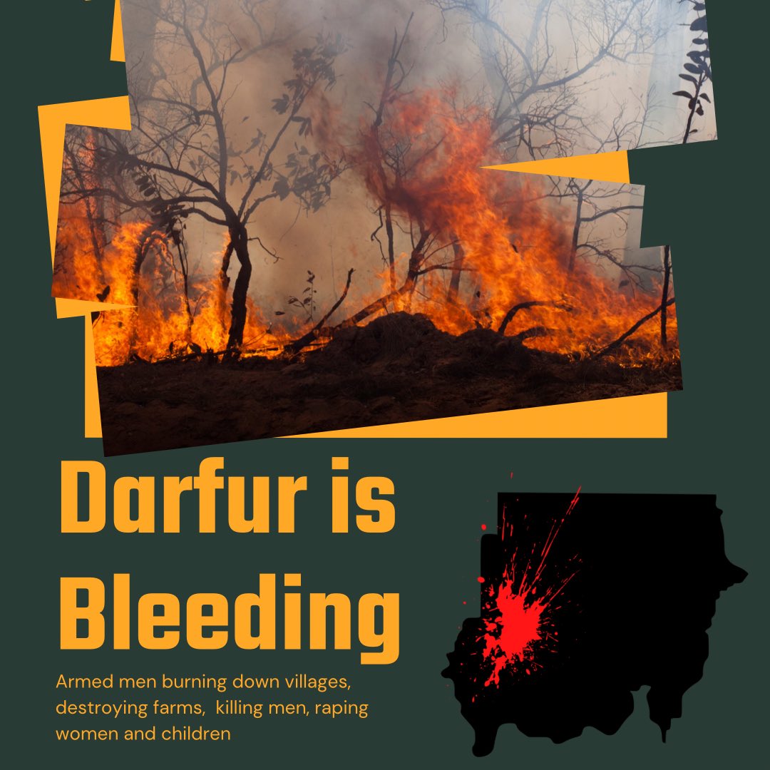tartola0123's tweet photo. ⚠️DARFUR IS BLEEDING⚠️

#دارفور_تنزف 
#DarfurIsBleeding
#SudanCoup
#الردة_مستحيلة 
#مليونية25نوفمبر
#Nov25March
#KeepEyesOnSudan https://t.co/7maIZ5MdR1