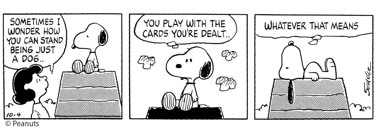 ゆるーくいけない 𝗦𝗪𝗘𝗘𝗧 𝗩𝗢𝗫 Peanuts Dictionary 139 本日のフレーズ You Play With The Cards You Re Dealt 1991年10月4日 配られたカードで勝負するしかないのさ Zipfm Peanuts すいぼ Pd スヌーピーえいご Snoopy T