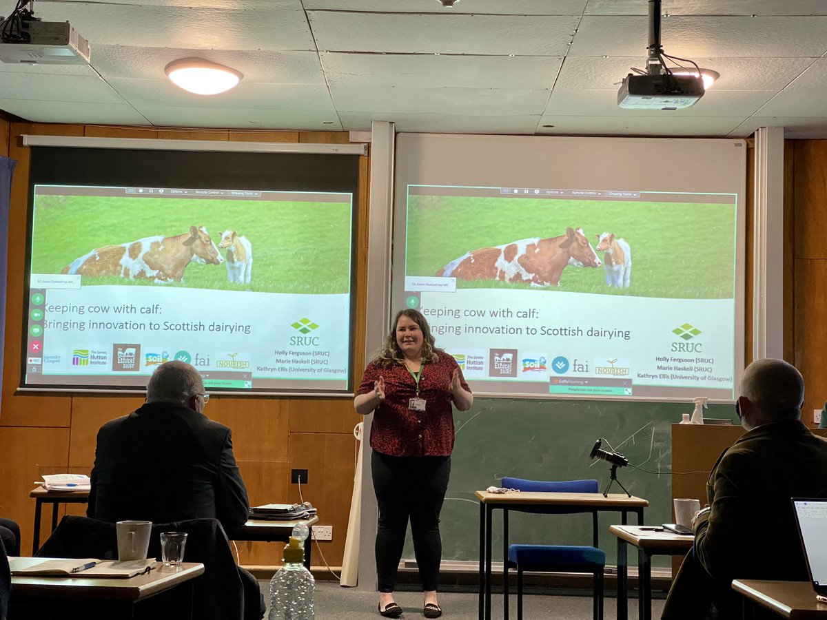 hjferg's tweet photo. Enjoyed speaking at @hannah_dairy workshop this week, discussing #cowwithcalf dairying. See https://t.co/WW3DhBetmy for more info! https://t.co/s656Ul9ELv